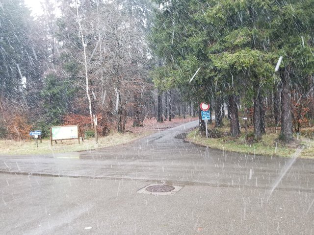 75th Bulge Trip