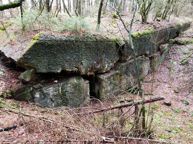 75th Bulge Trip