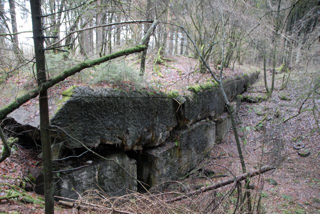 75th Bulge Trip