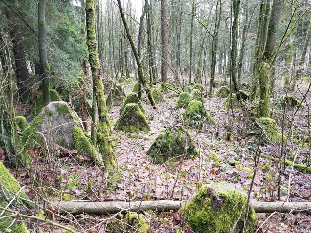 75th Bulge Trip