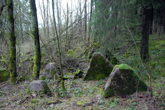 75th Bulge Trip