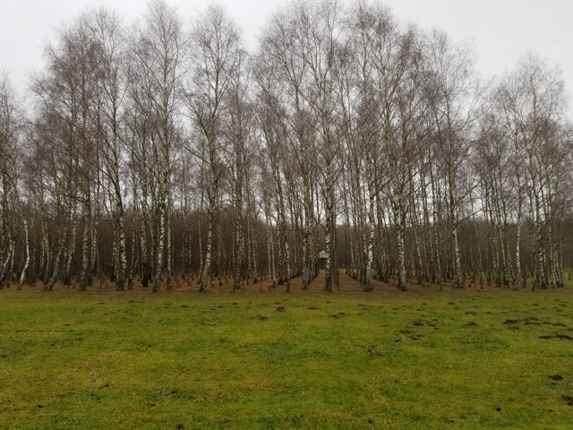 75th Bulge Trip