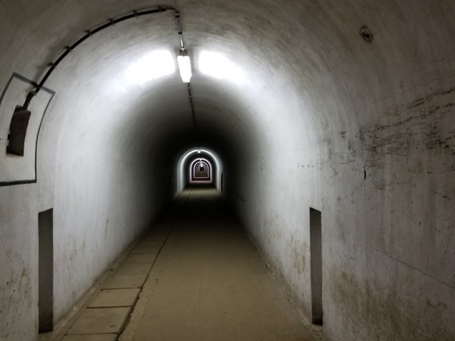 75th Bulge Trip