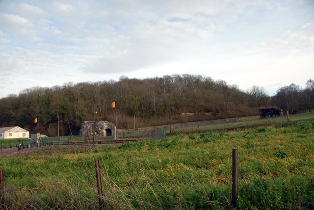 75th Bulge Trip